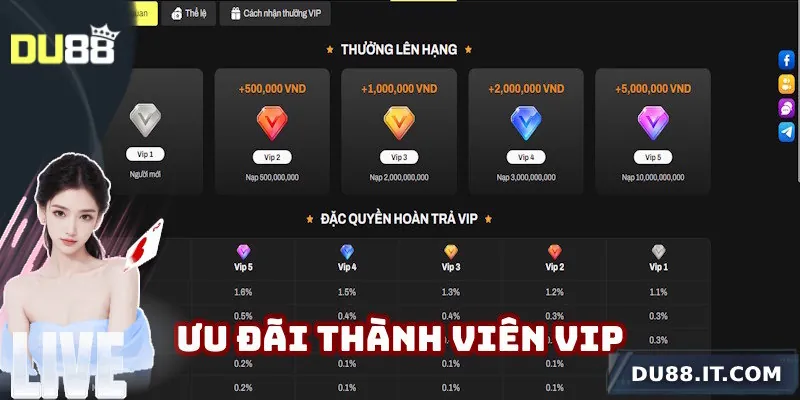 Hoạt động thành viên VIP thú vị