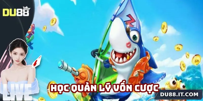 Học cách quản lý vốn để chơi săn cá thật sự hiệu quả