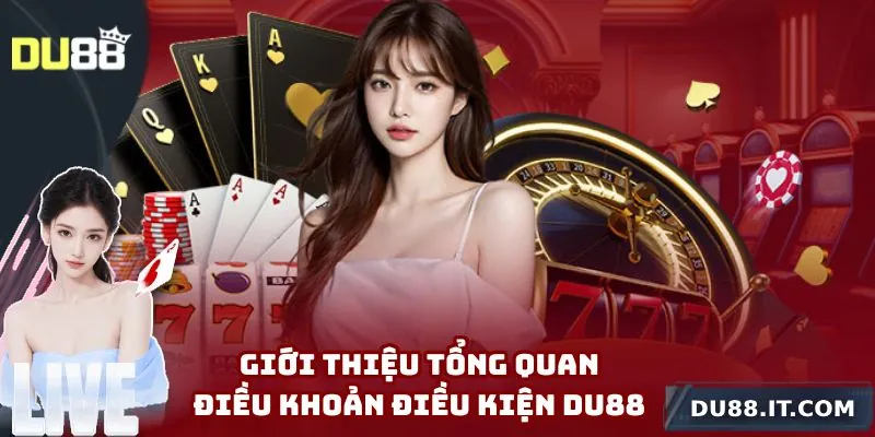 Tổng quan về điều khoản điều kiện Du88